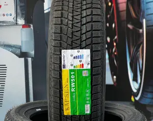 R19 245/50 Зима - 10