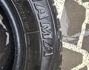 R18 285/60 Зима - 5
