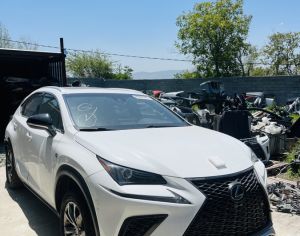 LEXUS NX 300 2021 2.0 - 1