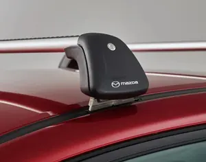 MAZDA CX-30 დუგები, ძელები