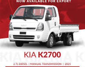 KIA K2700 2000-2025