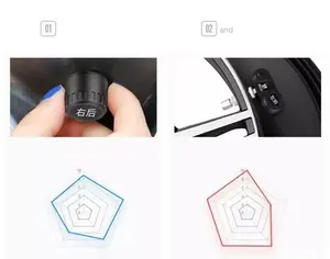 TPMS საბურავების წნევის სენსორი (შიდა) - 12
