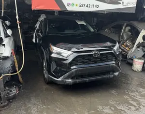 TOYOTA RAV 4 2023 2.5 - 3