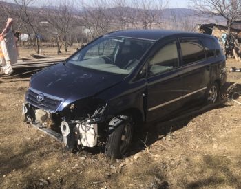 TOYOTA Ipsum 2000-2004 - 3