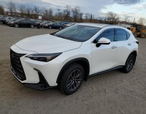 LEXUS NX 350 2024 2.5