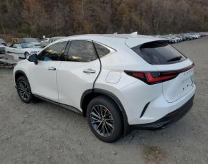 LEXUS NX 350 2024 2.5 - 2