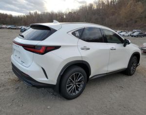 LEXUS NX 350 2024 2.5 - 3
