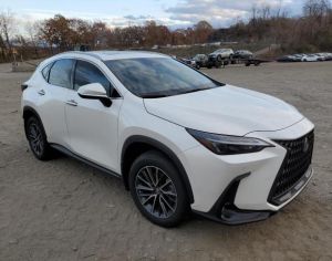 LEXUS NX 350 2024 2.5 - 4