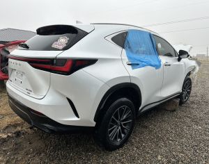 LEXUS NX 350 2022 2.4 - 1