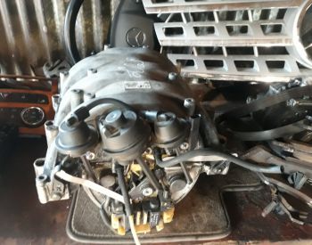 ძრავის ცივი კოლექტორი ML 350  W164