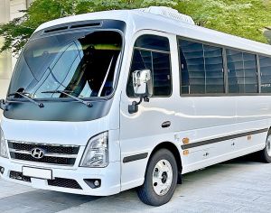 Hyundai County - 1