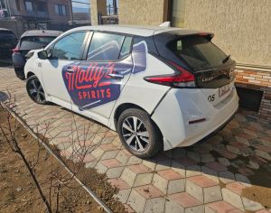 NISSAN Leaf 2021 0.1 - 1
