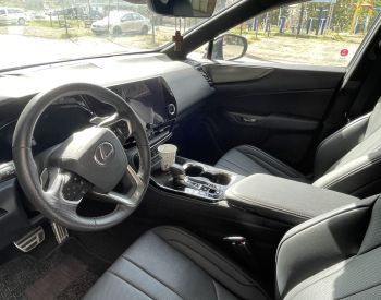 LEXUS NX 350 2022-2025 - 2