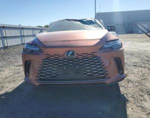 LEXUS RX 350 2023-2026 - 1