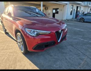 ALFA ROMEO Stelvio 2019 2.0 - 2