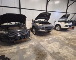 FORD Focus 2015 2.0 - 7
