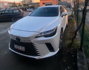 LEXUS RX 350 2025 2.4 - 7