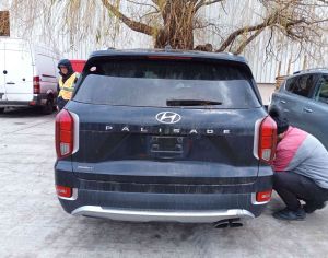 HYUNDAI Palisade 2020-2025