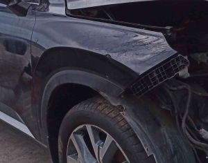 HYUNDAI Palisade 2020-2025 - 1