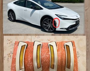 TOYOTA Prius 2023-2025 - 1